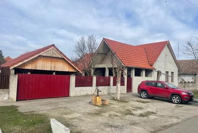 Casă cu Teren 1454 Mp în Pustiniș - 10