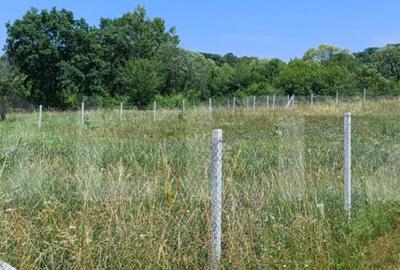 Teren extravilan de 1000 mp, situat pe strada Ghinzii - 2