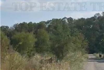 Teren in fata padurii Baneasa - 6