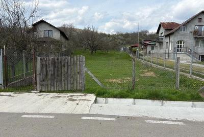 Teren de 9140 mp, în Aninoasa - 4