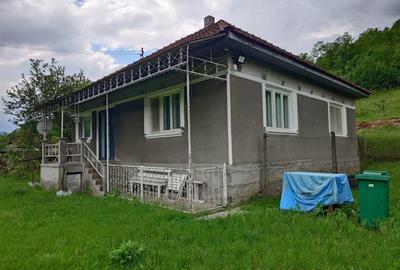 Casă cu 3 camere cu Teren 12861 Mp în Luncoiu de Jos - 18