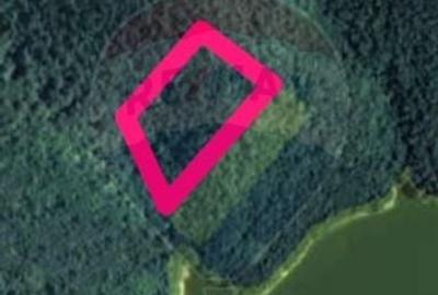 Teren  forestier  langa lacul Cincis, jud Hunedoara - 3