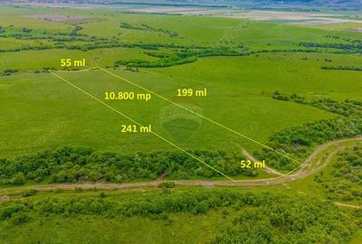 Teren de 10800 mp, în Râșnov - 15