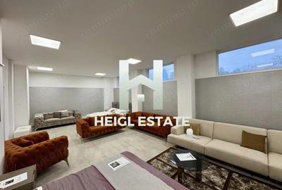 Spatiu comercial in zona Sagului - 8