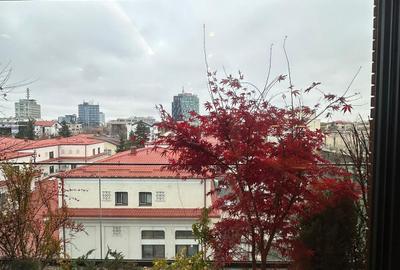 Premium penthouse for rent- Primaverii-4rooms - 12