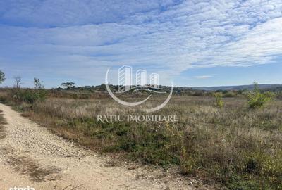 Teren de 3961 mp, în Paleu - 3