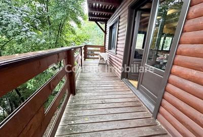 Casa Individuala | Grigorescu - 18