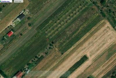 Spațiu comercial, în Preajba - 1