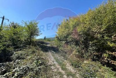 Teren de 702 mp, în Buru - 9