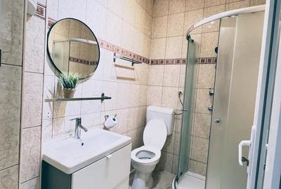 Apartament cu 2 camere, mobilat în Banu Manta - 6