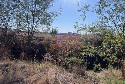 Teren Construcții intravilan de 6200 mp, în Cornetu - 2