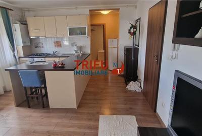 Apartament cu 2 camere decomandat, mobilat în Cetate - 10