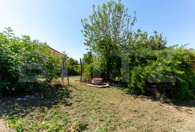 Casa de vanzare in Rovina(Branisca) Casa de vanzare in Rovina(Branisca) - 11