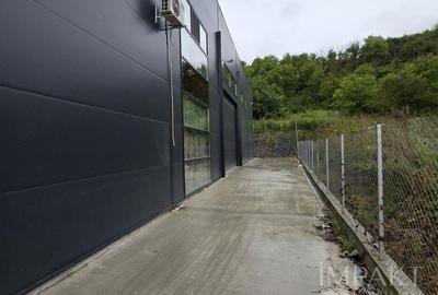 Inchiriere hala/show room/Spatiu comercial Cluj-Baciu - 4