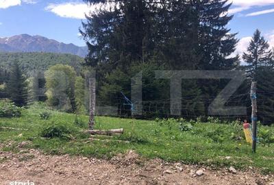 Spațiu comercial, în Părău - 9