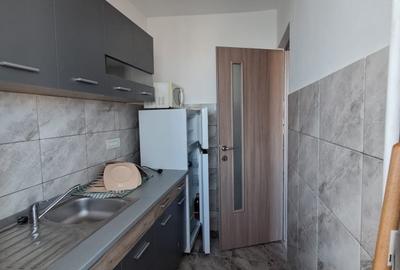 Apartament 1 camera Gara - 4