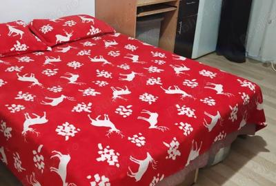 Garsonieră nedecomandată în Central - 3