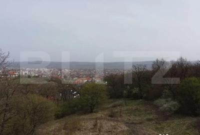 Teren de 10046 mp, în Cetate - 3
