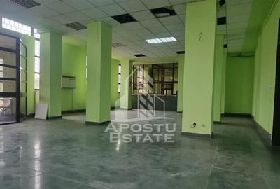 Spatiu birouri sau comercial in localitatea Pancota - 6