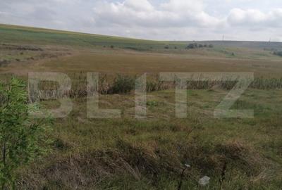Teren de 45000 mp, în Central - 2