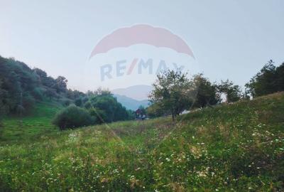 COMISION ZERO - Teren 2339 mp in Barsana - 3