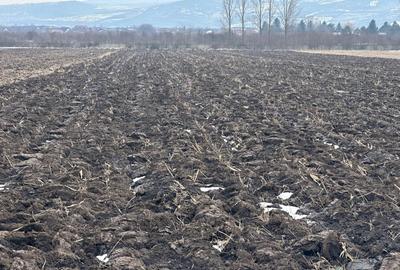 Spațiu comercial, în Dancu - 7