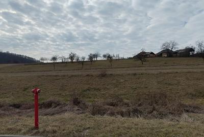 Teren intravilan de vanzare - Fasca, comuna Varciorog, judetul Bihor Teren intravilan de vanzare - Fasca, comuna Varciorog, judetul Bihor - 6