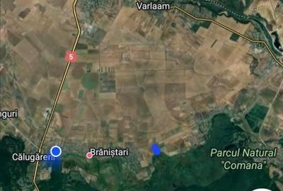 Teren in suprafata de 54000 mp- Sat Branistari, Comuna Calugareni - 5