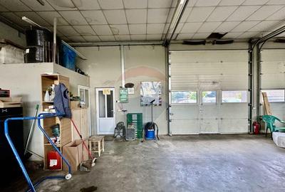 Hala 150 plus birouri Mandresti - 13