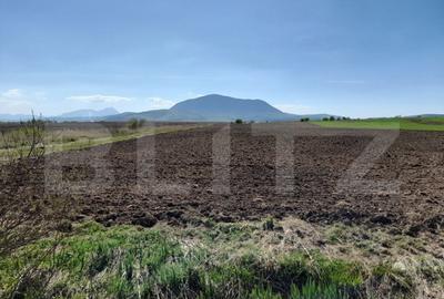 Teren de 15000 mp, în Central