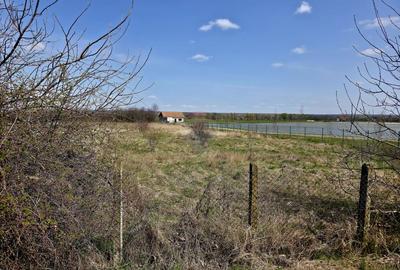 Teren Construcții intravilan de 7000 mp, în Girov - 10