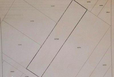 Teren de 750 mp, în Viile Noi