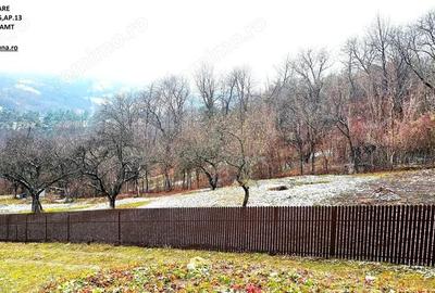 Casa la rosu D+P+E si teren 873 mp, sat Bistrita - 6