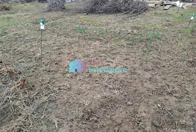 Teren intravilan 700 mp Sf. Ilie - 6