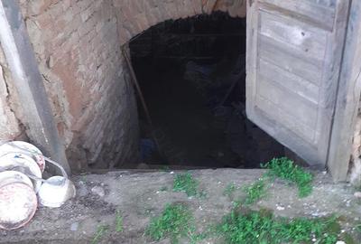 Casă cu 3 camere cu Teren 1284 Mp în Ostroveni - 2