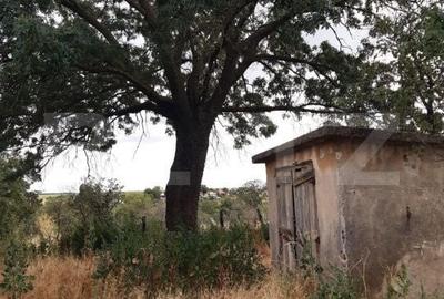 Casă cu 4 camere cu Teren 1008 Mp în Bucovăț - 10