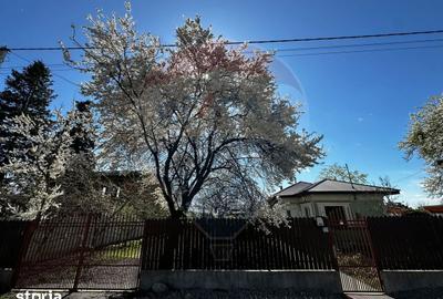 Casă cu 3 camere cu Teren 1000 Mp în Răcari - 13