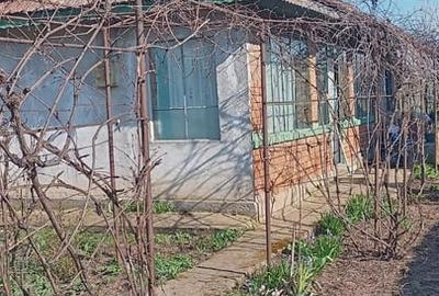 Casă cu 3 camere cu Teren 863 Mp în Central - 2