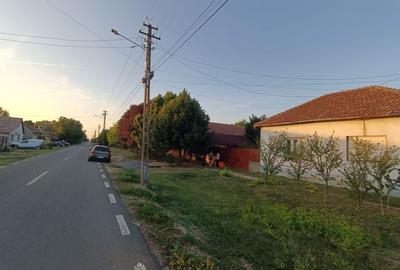 Casa ideală pentru familie sau vacanță, în inima naturii - Dorobanti - 3