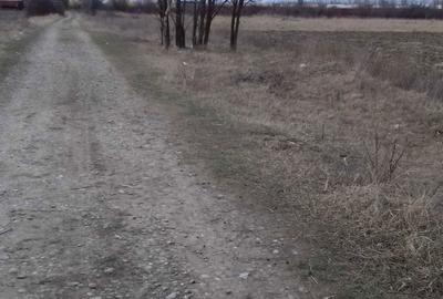 Spațiu comercial, în Cartierul Dâmbu - 5