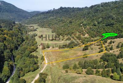 Teren agricol extravilan de 5300 mp, în Cheile Râșnoavei - 1