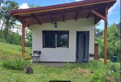 PF vand teren 1200mp cu casa intabulate,18km de Cluj, intravilan CF, cadastru, Micesti com.Tureni - 4