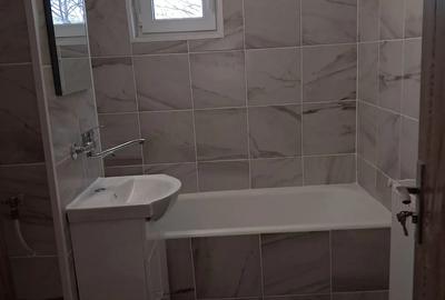 Apartament cu 3 camere decomandat în Brazda lui Novac