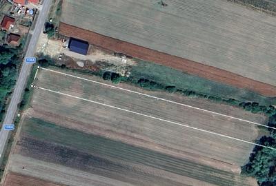 Teren Construcții intravilan de 5600 mp, în Romita - 1