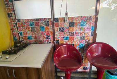 Apartament cu 2 camere, PET FRIENDLY, zona Podu Ros - 10