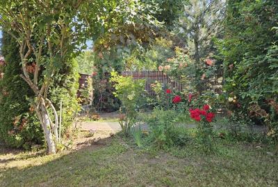 Casa / Vila cu 6 camere de vanzare - CORNU - 13