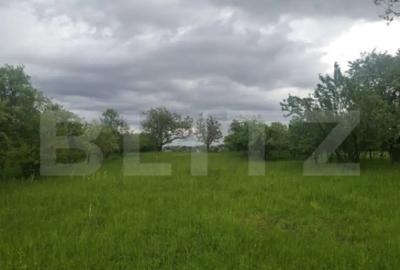 Teren de 2691 mp, în Turda - 5