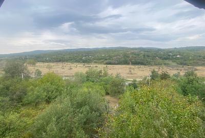 Valea Buzaului, Ciuta Magura, ideala Pensiune! - 4