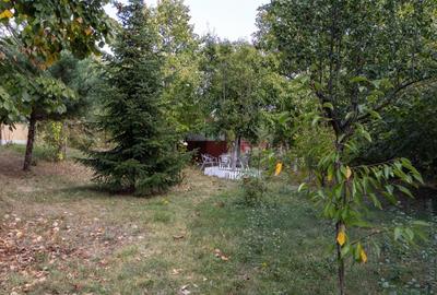 Coltul tau de natura la Snagov - Casa din lemn unde linistea devine acasa - 6