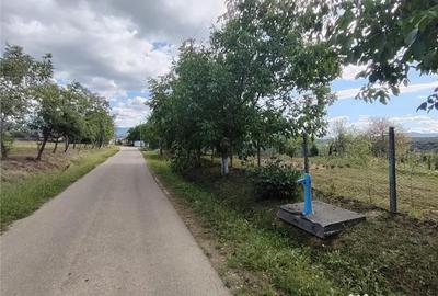 Teren de 2400 mp, în Săliște - 1